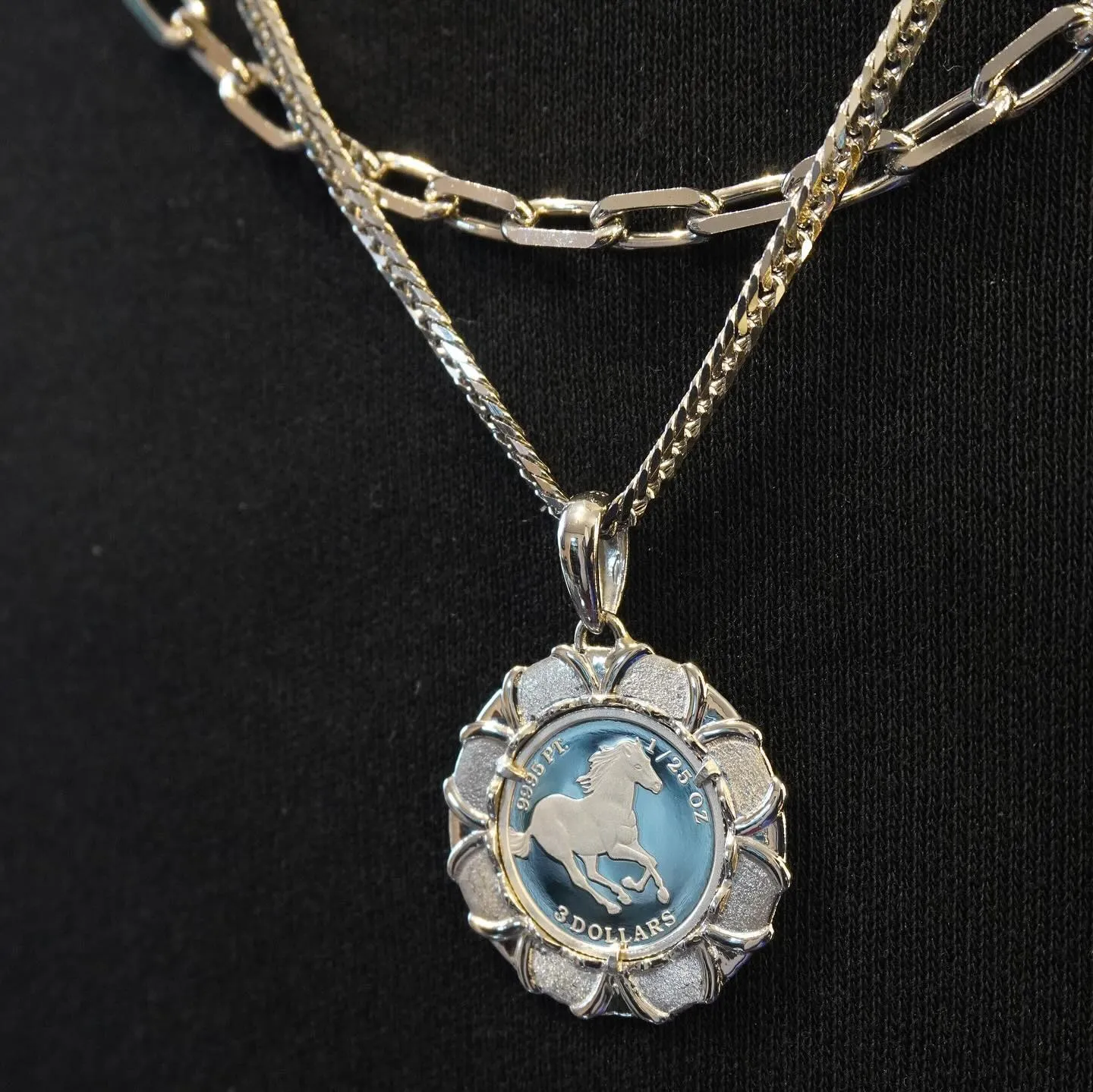 PT900/PT1000 プラチナコイン⁎⁺˳✧༚