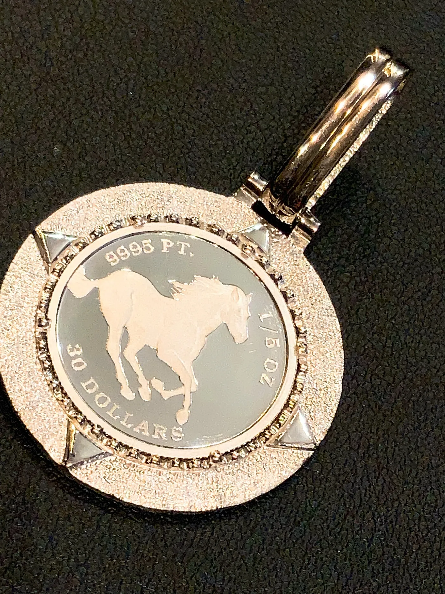 👑圧倒的存在感、プラチナコインペンダント👑